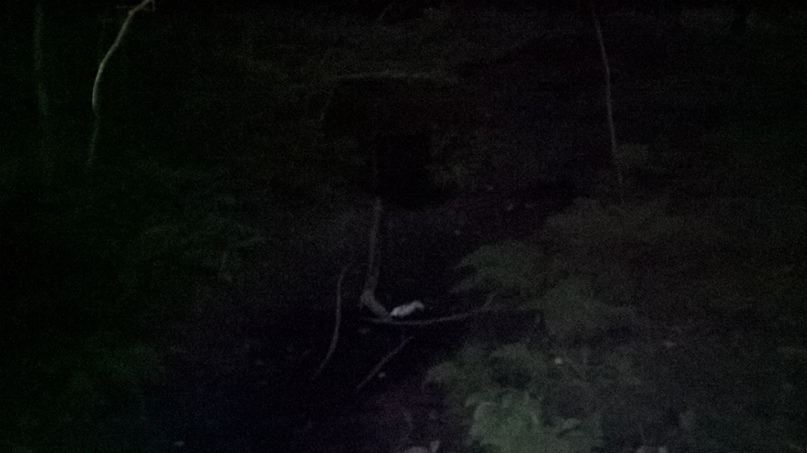 Владимир Дронов | Тольятти