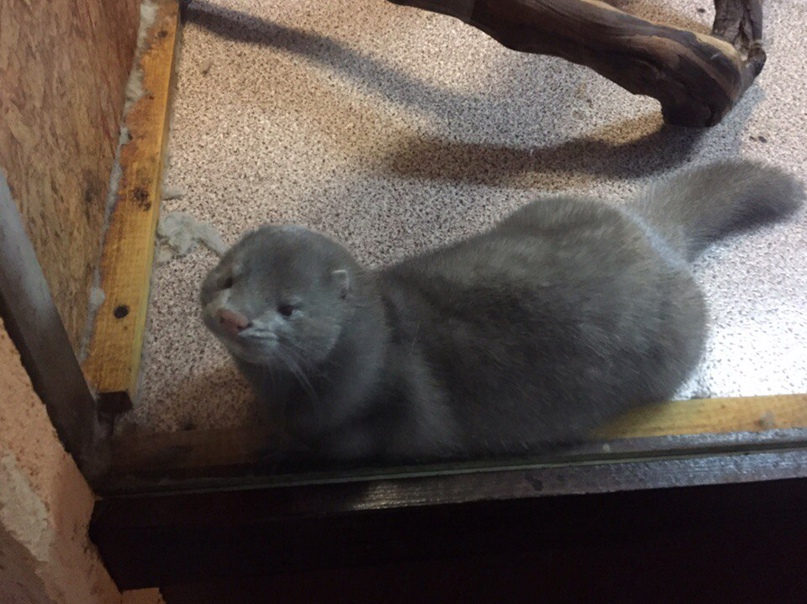 Лилия Филиппова | Краснодар