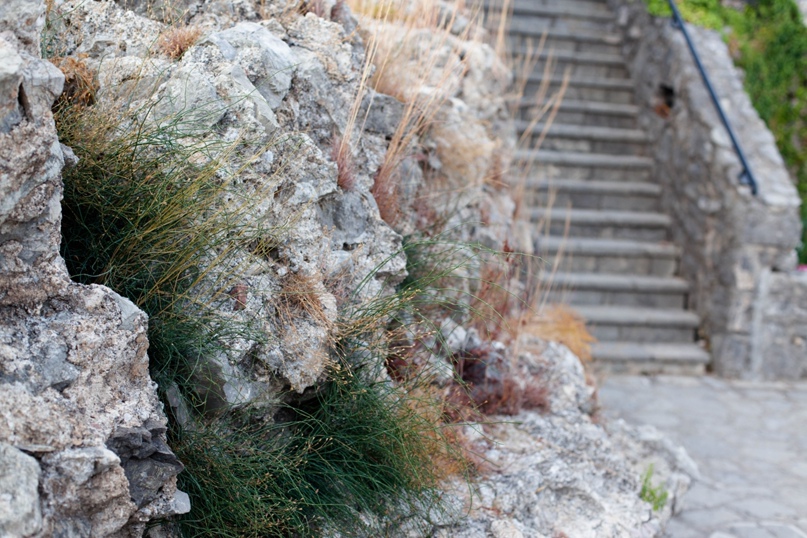 Артем Брежнев | Киев