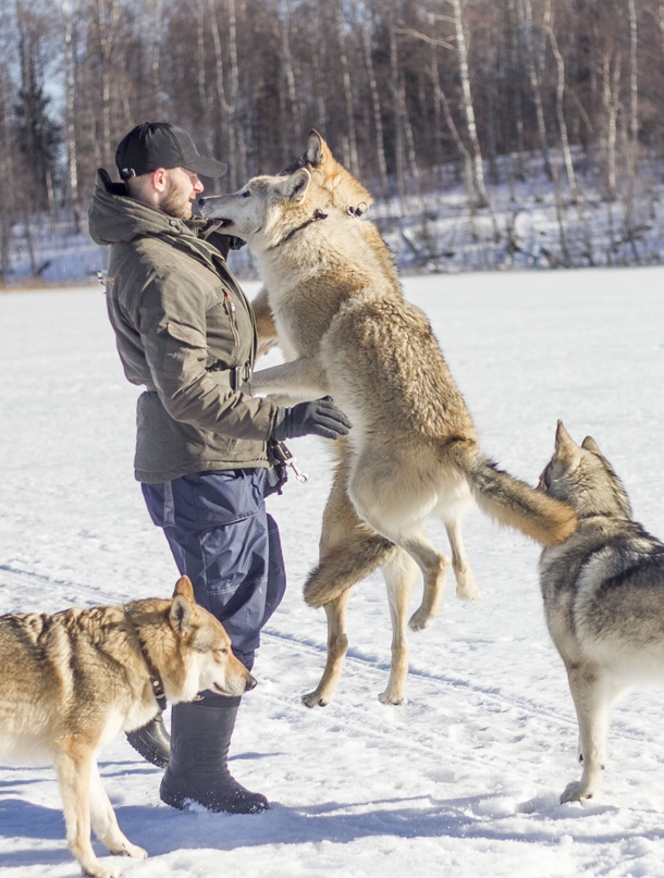 Анна Пономарева | Ступино