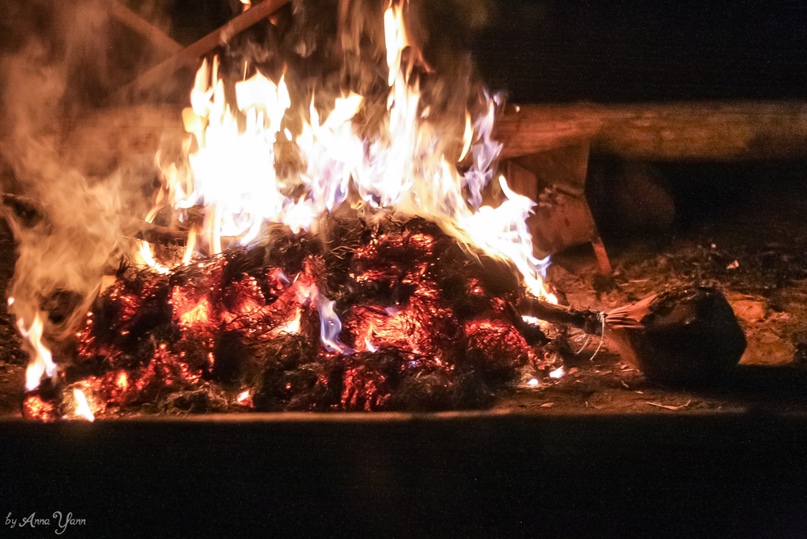 Вікторія Андрухів