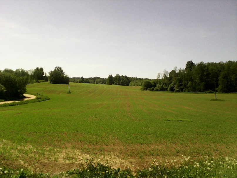 Марина Ракова |