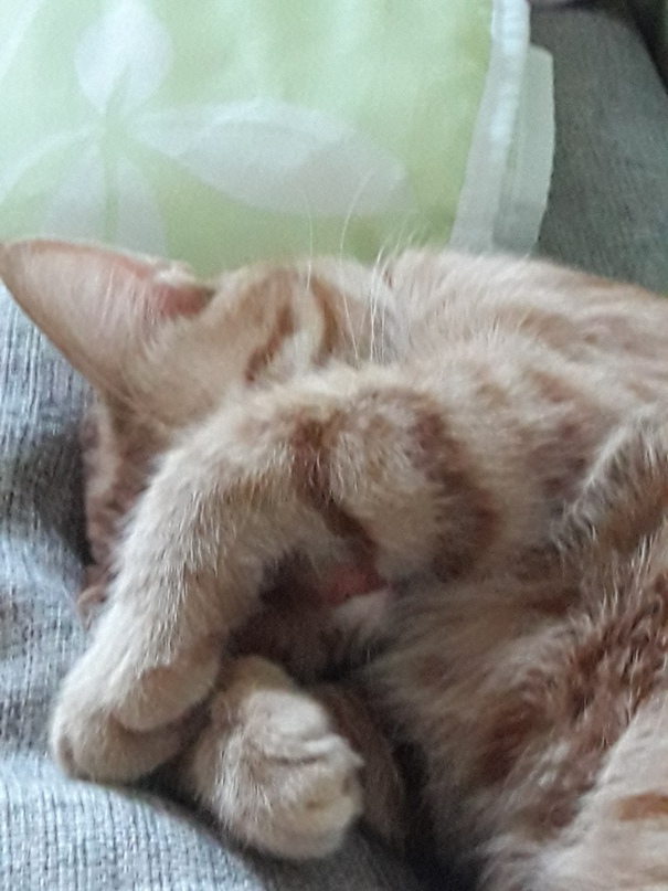 Ксанита Ксаночка | Санкт-Петербург