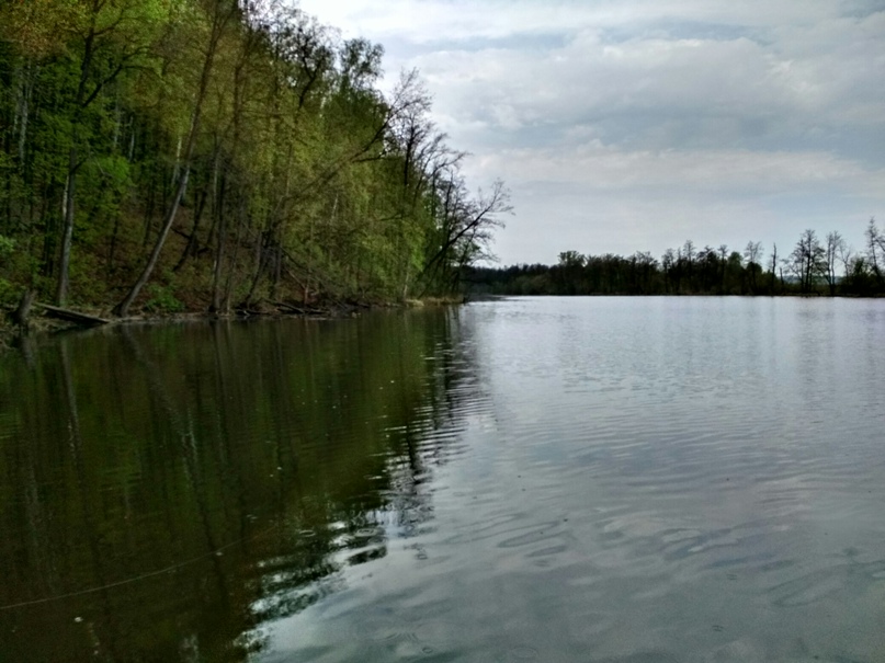 Ильдар Нафиков Dok | Уфа