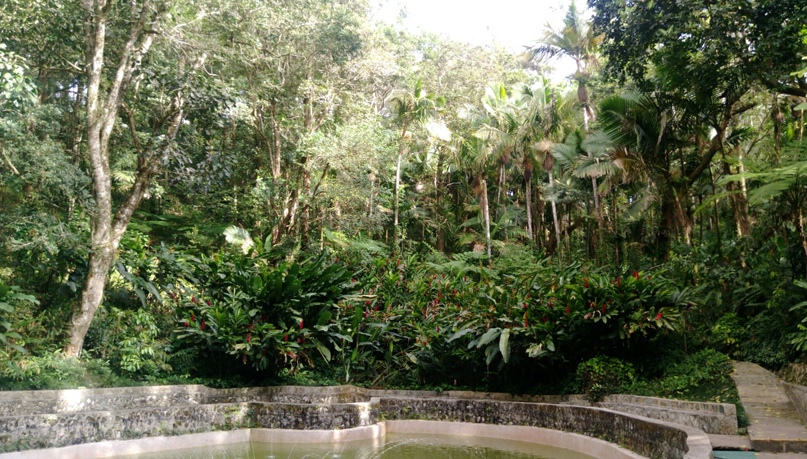 Мария Адамович | Москва