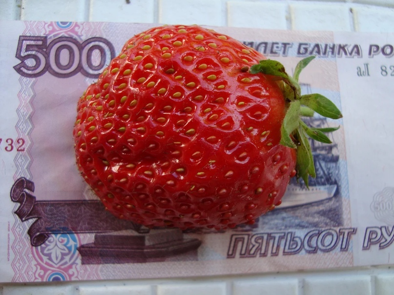 Nata Borisova | ВКонтакте