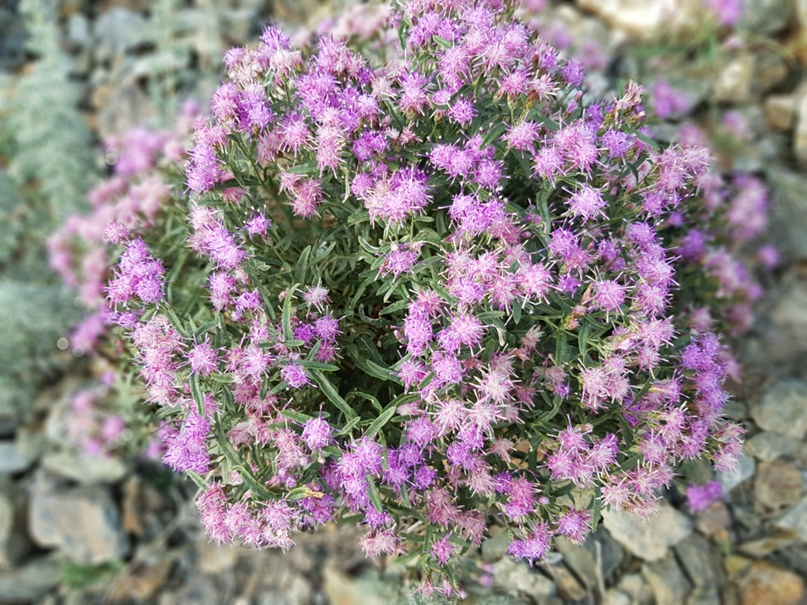 Людмила Злобина | Тюмень