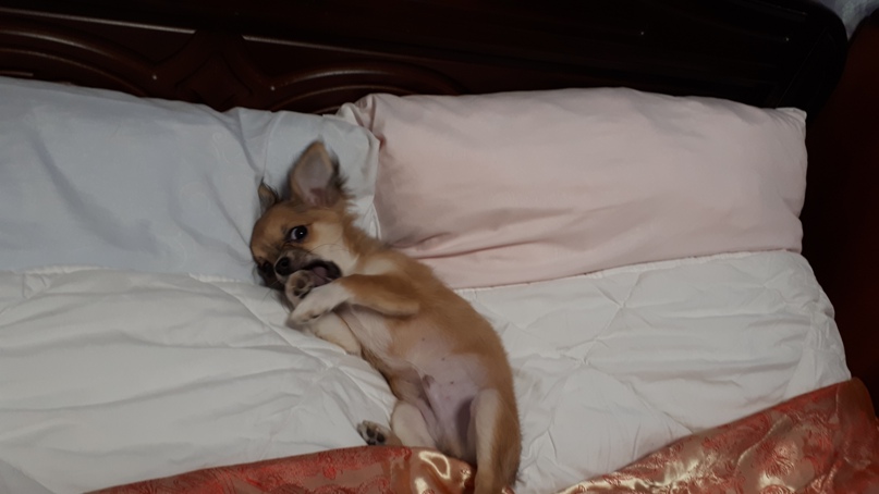 Елена Бессуднова | Рыбинск