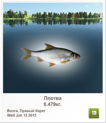 Дарья Сметанина | Вологда