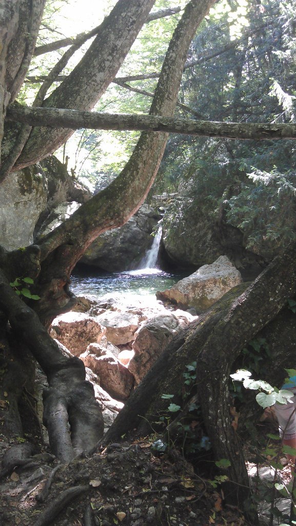 Дима Кунаков | Санкт-Петербург