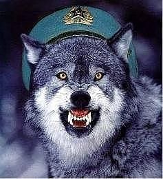 Александр Крылов | Кандалакша