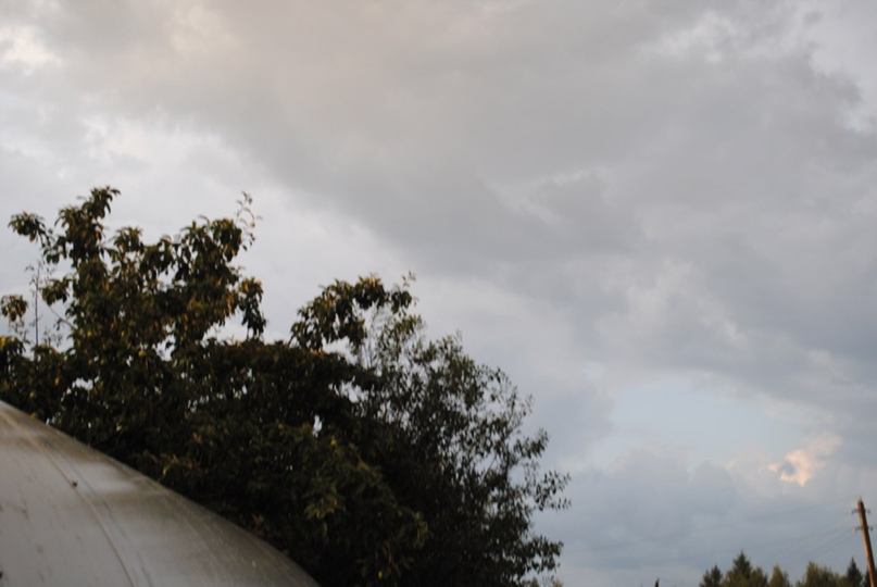 Тамара Орлова | Ижевск