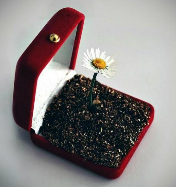 Александр Петухов W H I T E | Иваново