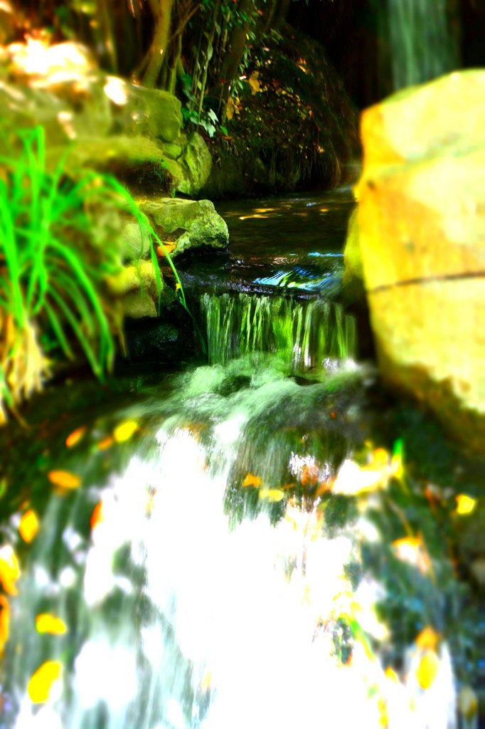 Татьяна Новикова | Москва