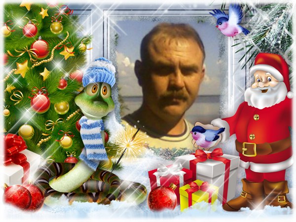 Владимир Егоров | Луга