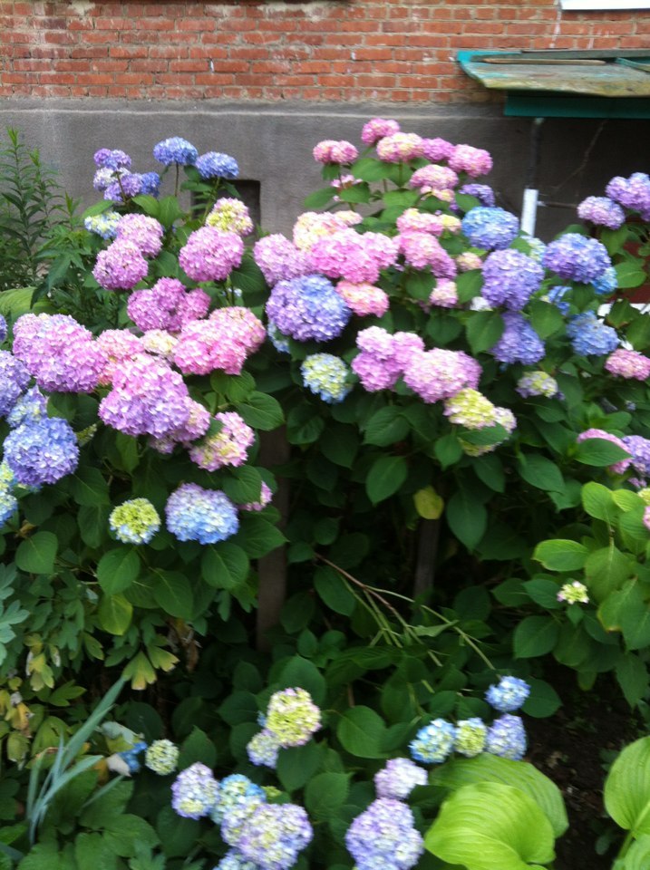 Александра Григорьева | Санкт-Петербург