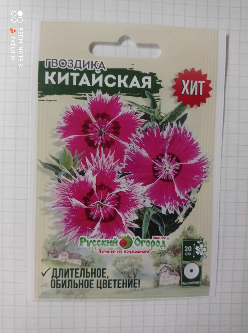 Татьяна Лебедева | Великий Новгород