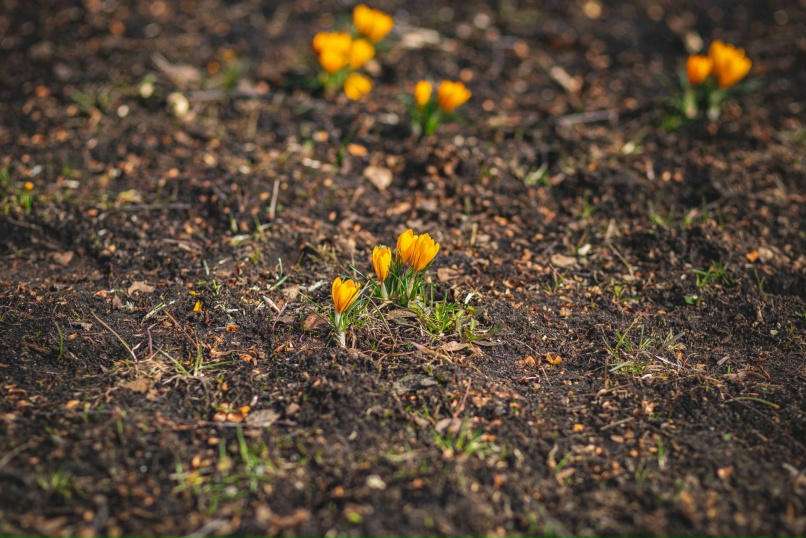 Юлия Весна | Москва