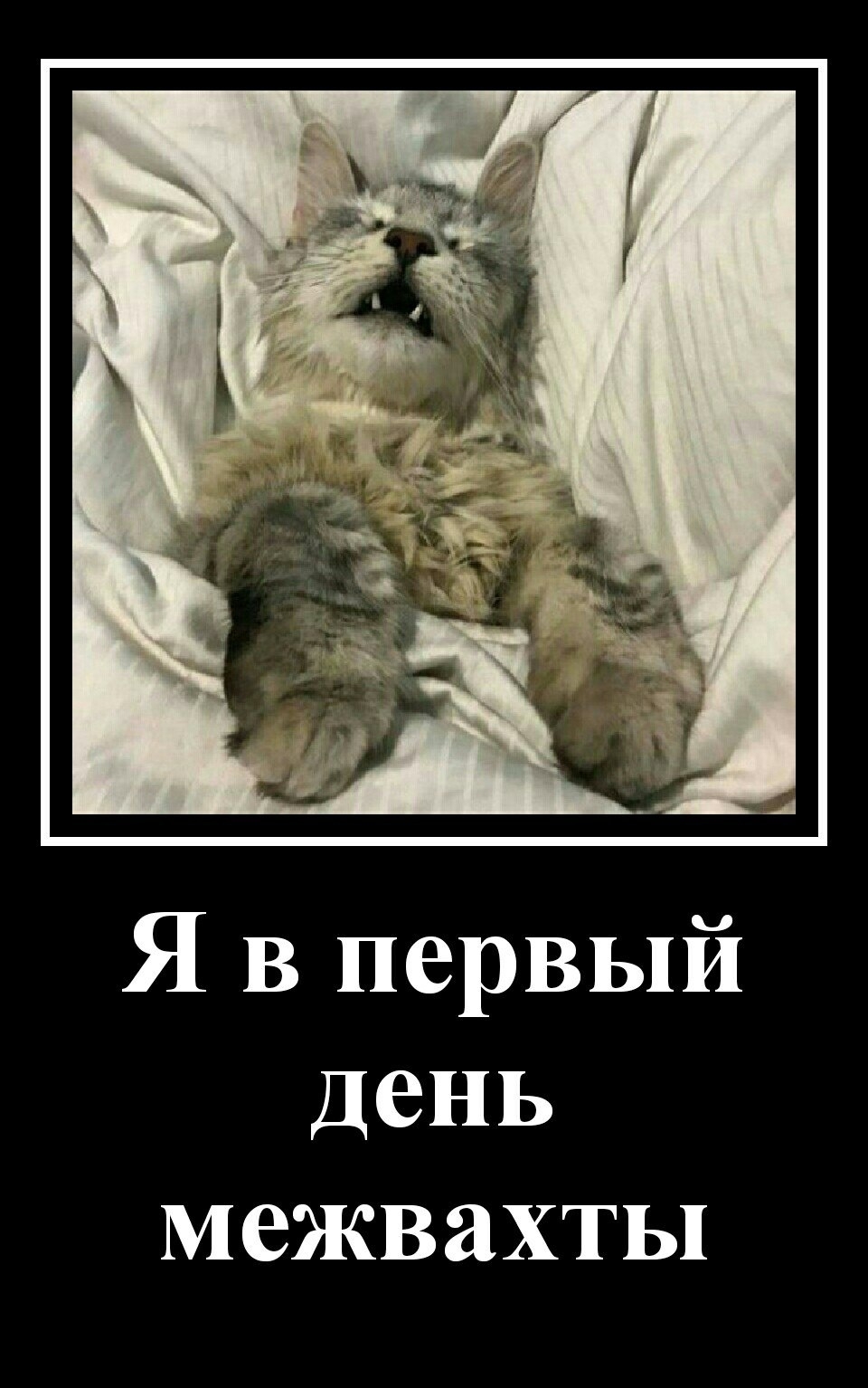 Вахтовик смешные