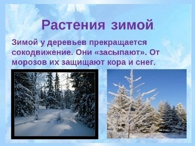 В гости к зиме 2: найдено 83 изображений