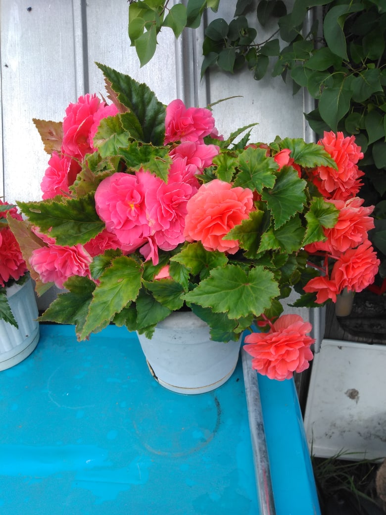 Юлия Адрианова | Санкт-Петербург