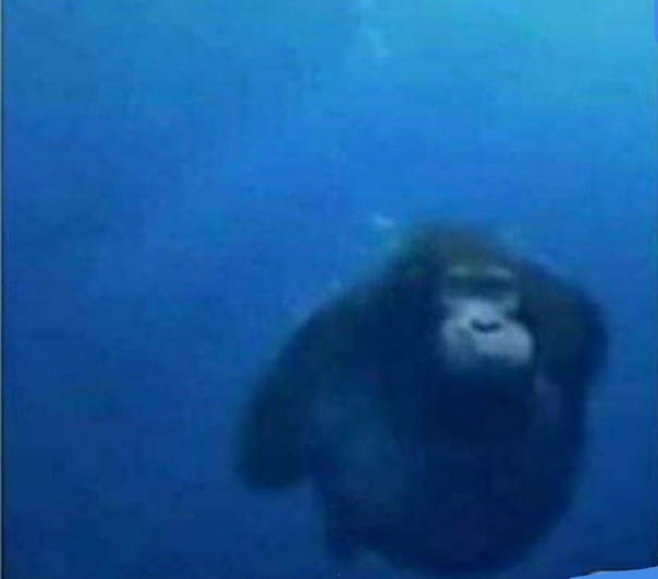 Вадим Макаров | Кемерово