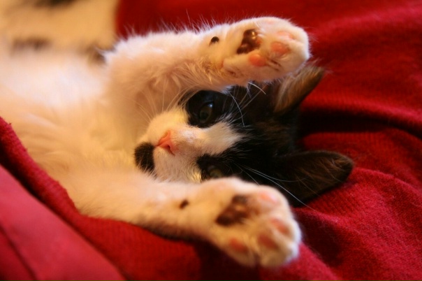 Доброго времени суток, помогите, пожалуйста, найти...