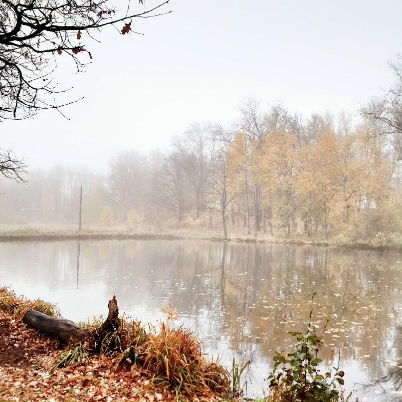 Екатерина Каштанова | Санкт-Петербург