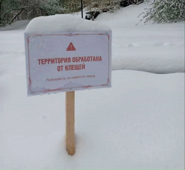 В парках Подмосковья завершили акарицидную обработку. Клещи в шоке от такой обработки. 😁
