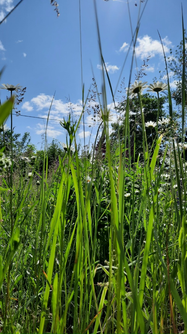Ольга Афанасьева | Липецк