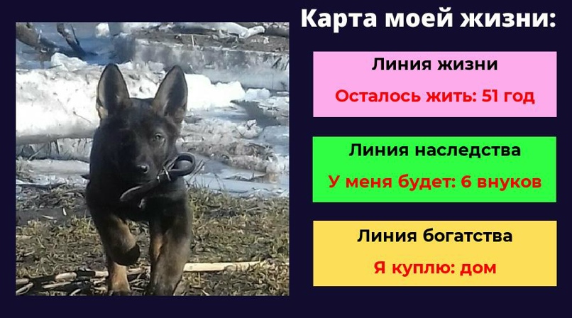 Сергей Логачёв | Новосибирск