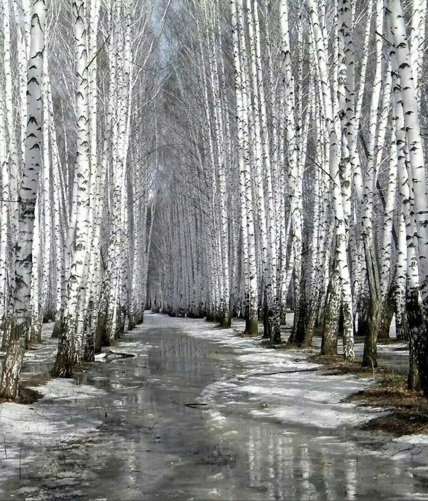 Доброе утро последний день зимы Доброе утро последний день зимы