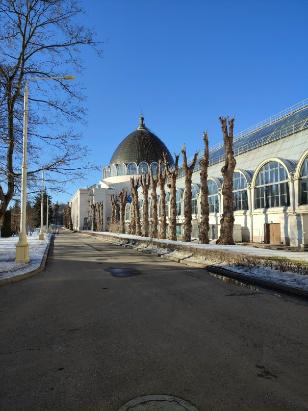 Марина Солдатова | Санкт-Петербург