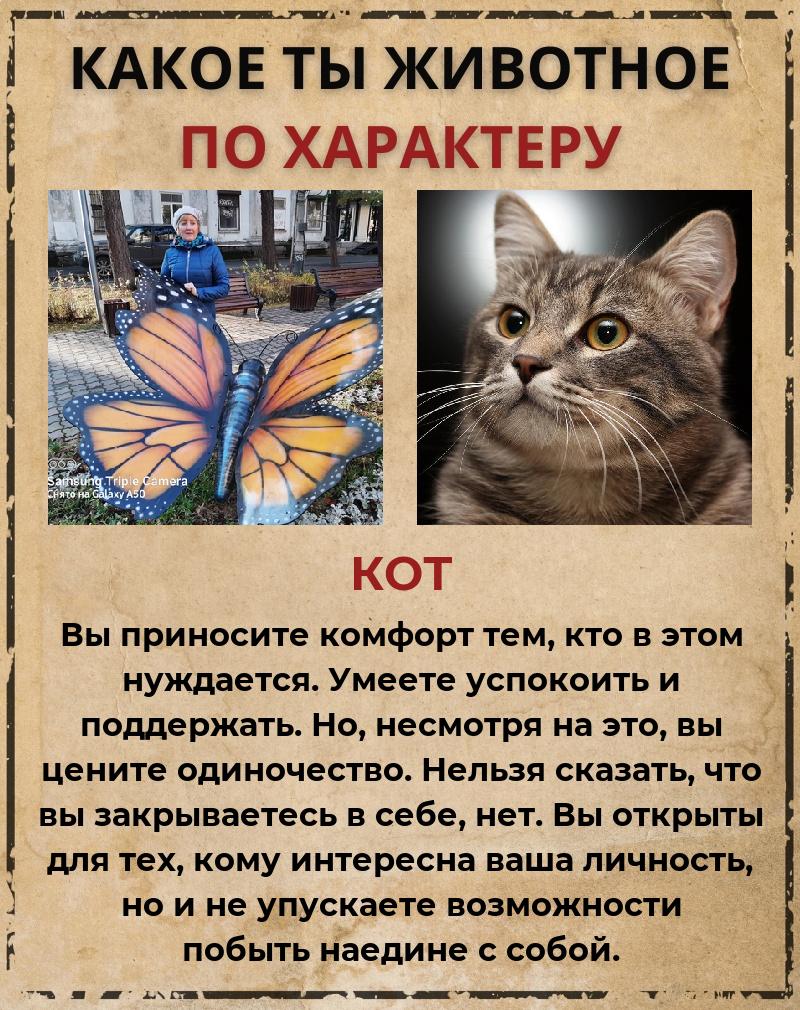 Светлана Елкина | Ковдор