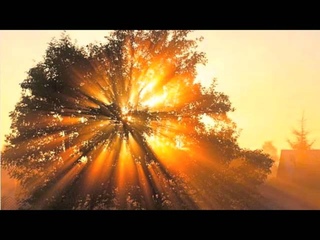 Солнечные заичики (Sun-shine Glints)