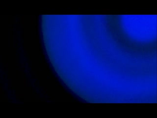 Jack White - Shedding My Velvet (Visualizer)