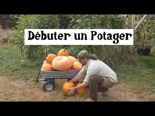 Comment faire un potager (mois par mois) ?