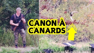 Ils aiment les chiens mais pas les oiseaux : enqute dans un club canin qui massacre des canards