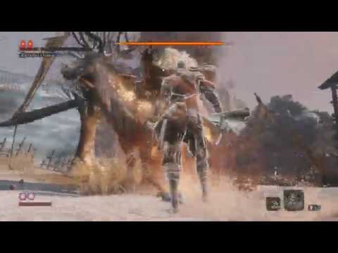 Sekiro: Online Early co op
