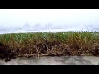Аномальное явление “Волосы ангела“