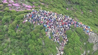 600 hikers gather at pink-capped mountain peak in Oita Prefecture