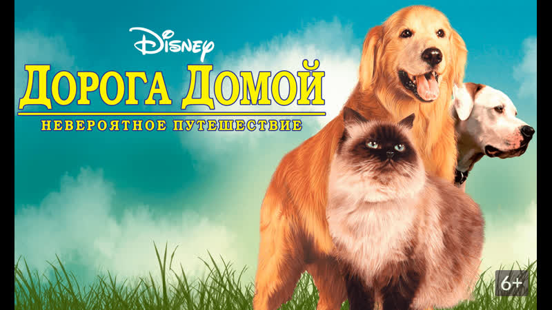 Дорога домой: Невероятное путешествие