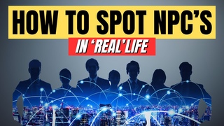 How To Recognize NPC’s (Non-Player Characters)