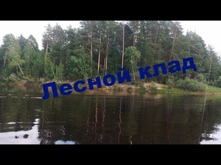 В лес за ягодой...Заброшенная изба...Мой клад
