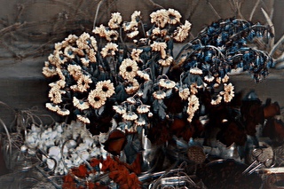 HANNIBAL | e l e g a n c e