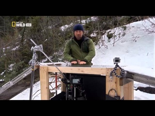 Дикая америка: Король росомах