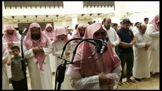 فجرية  هادئة من 8 رمضان   للقارئ الشيخ محمد ال 