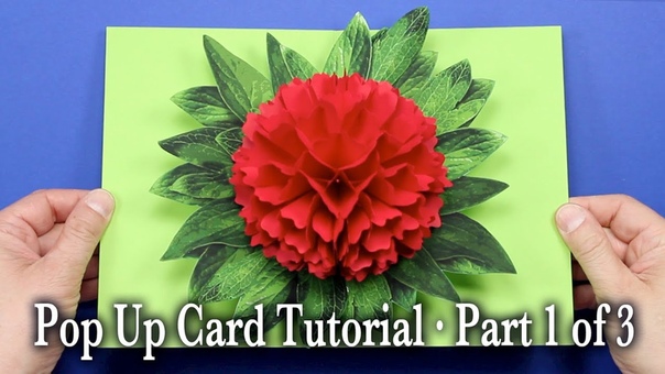 Поделка из бумаги: 3 D Pop Up