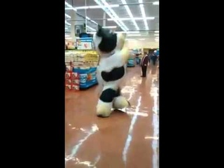 Человек в костюме коровы исполнил зажигательный танец