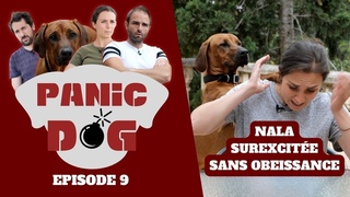 Chien qui n’écoute RIEN ! INGERABLE ! - Panic Dog Ep9